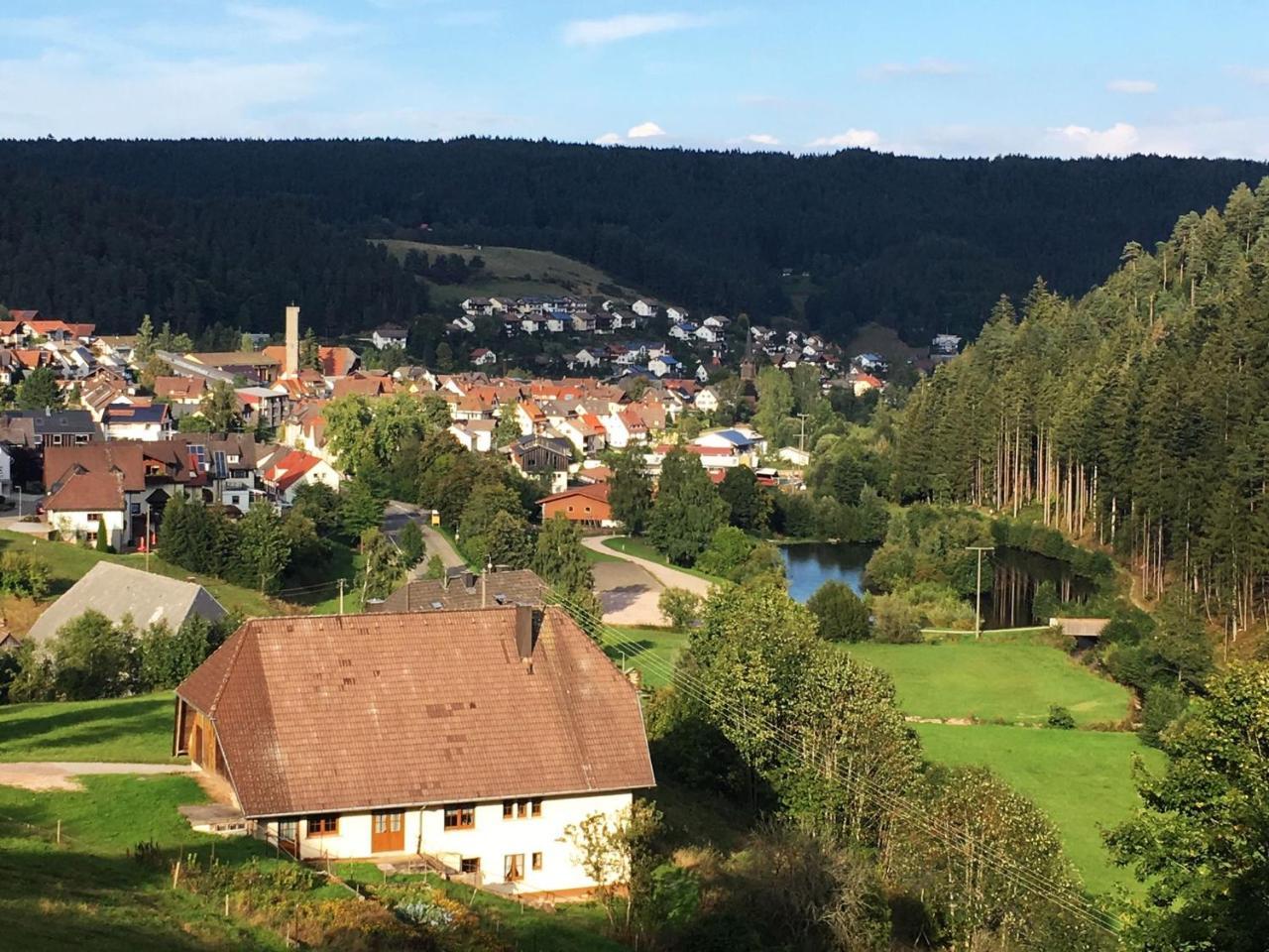 Schwarzwaldgasthaus Linde Schramberg Buitenkant foto