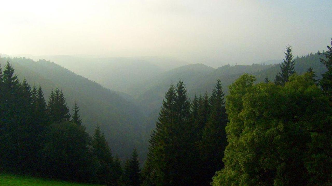 Schwarzwaldgasthaus Linde Schramberg Buitenkant foto