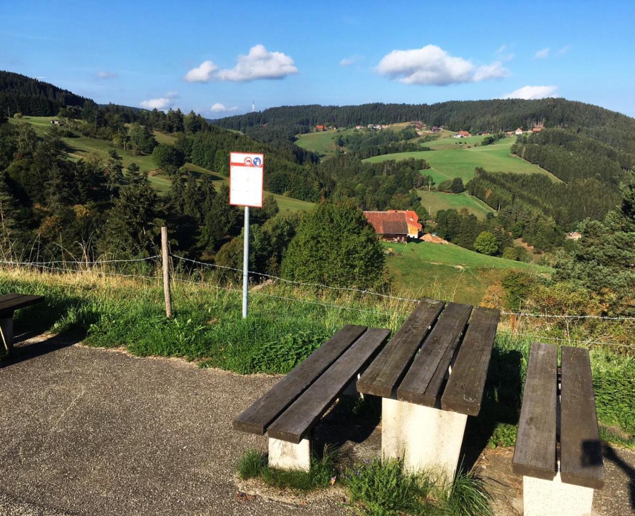Schwarzwaldgasthaus Linde Schramberg Buitenkant foto